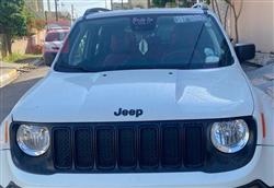 جيب رينيجيد